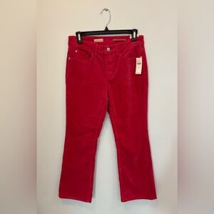NWT Anthropologie Pilcro Cropped Pants